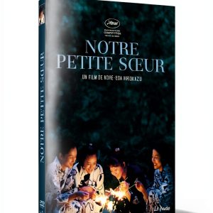 French Japanese DVD Audio Description Subtitles 1 Disc-0