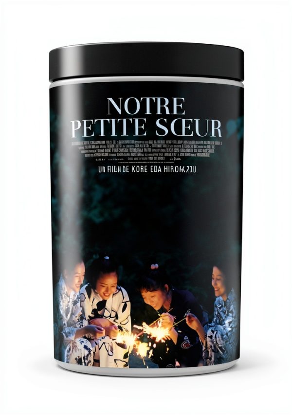 French Japanese DVD Audio Description Subtitles 1 Disc-1